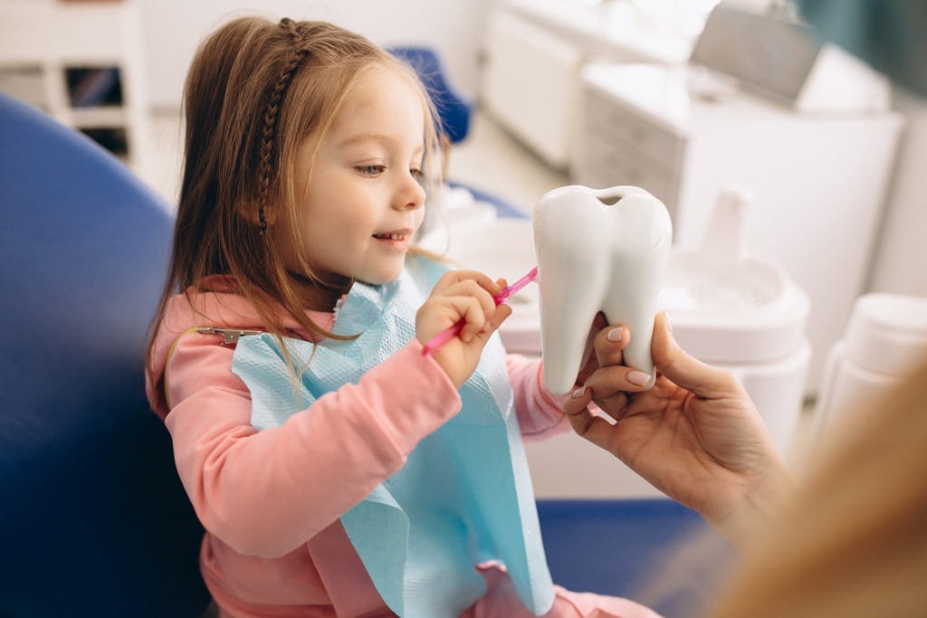 Quando cadono i denti da latte? 1 Quando cadono i denti da latte